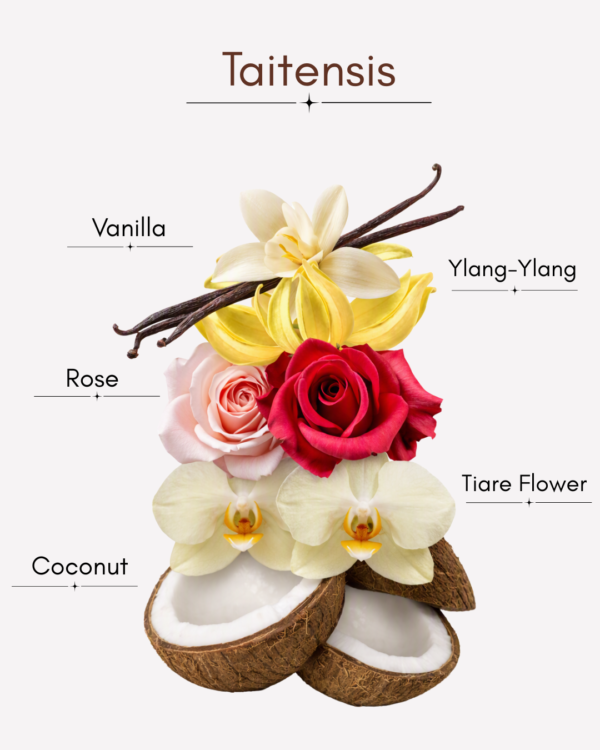 design creamy monoi TAITENSIS<br>Classic Musk Fragrance